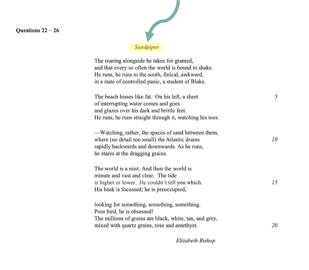 GAMSAT S1 poem extract with title Sandpiper highlighted